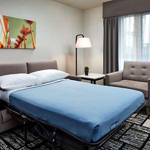 King Suite Sofa Bed Mobility Accessible